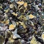 [Buy 2 Get 1 Free] Beads Mix-Scoop in live